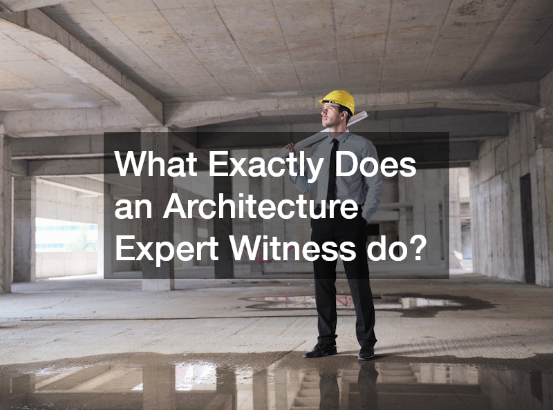 What Exactly Does an Architecture Expert Witness do?